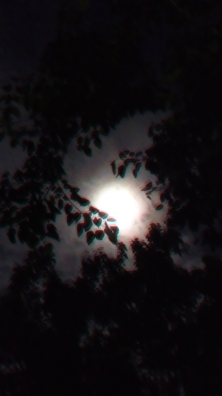 Moon