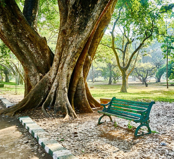 Bangalore Meditation