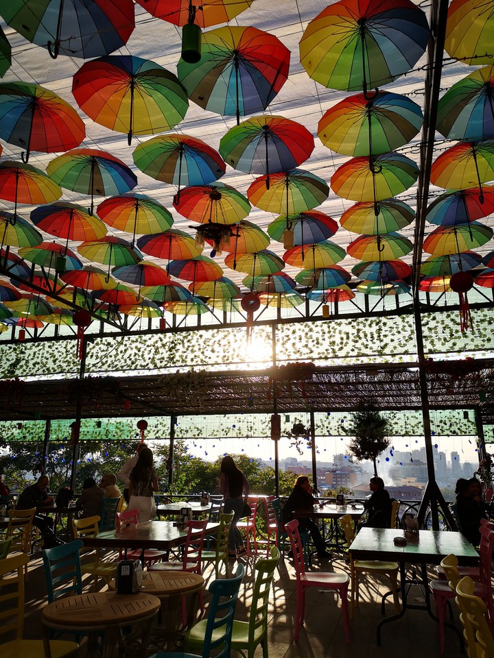 umbrella