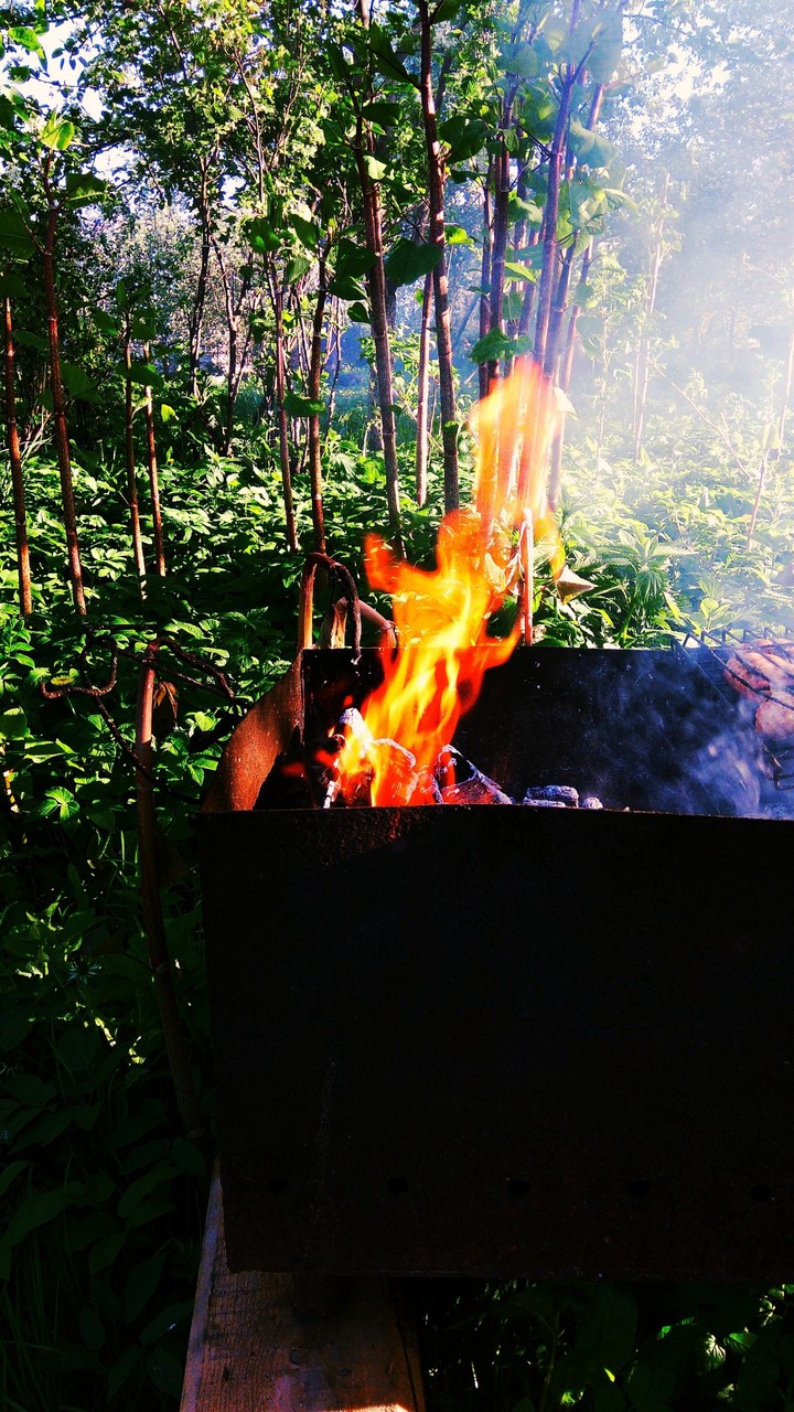Fire #Alina