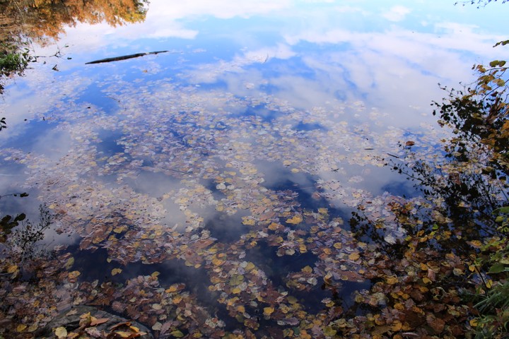 Natur, Wasser, Wunder
