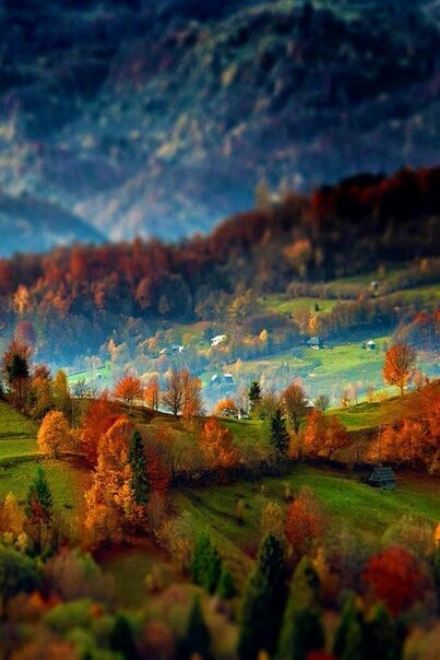 природа