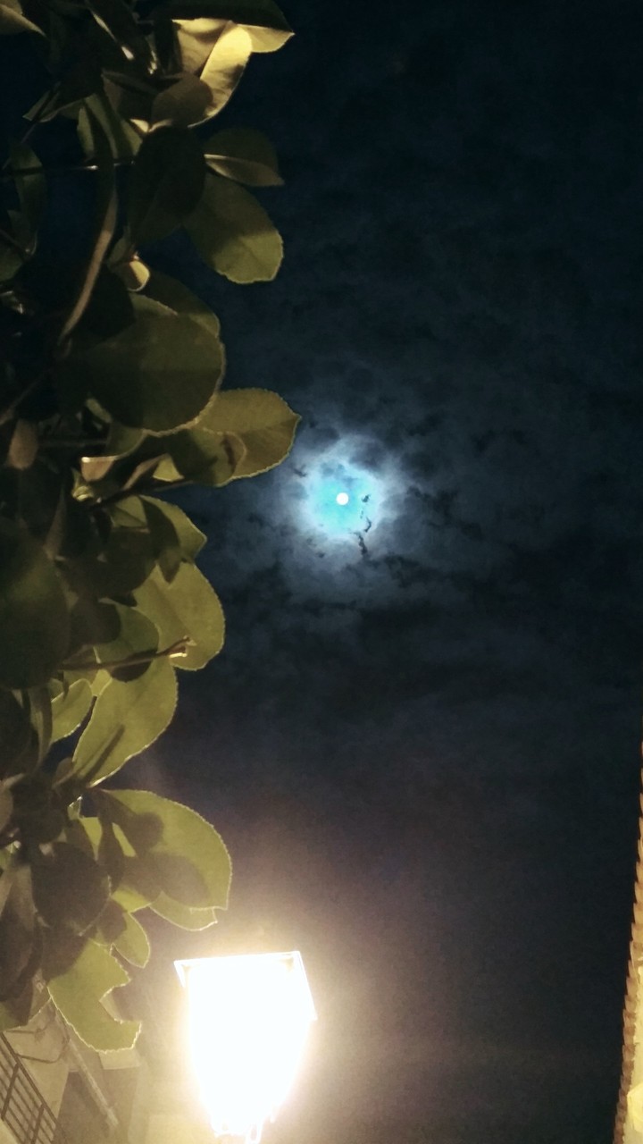 Moonlight