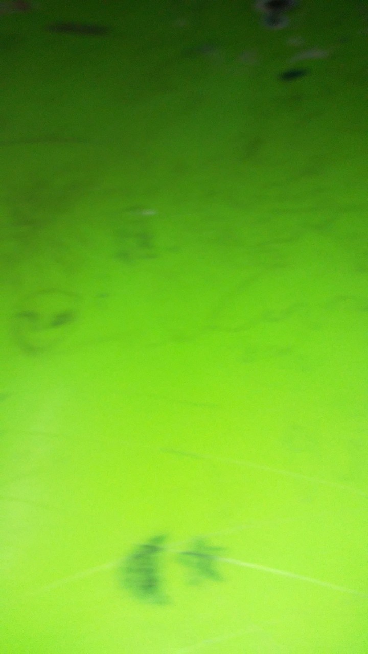 verde alien