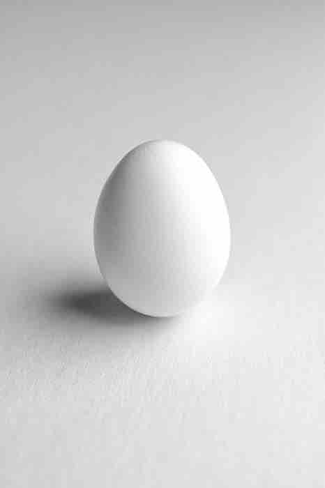 egg
