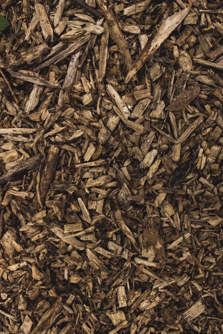 wood