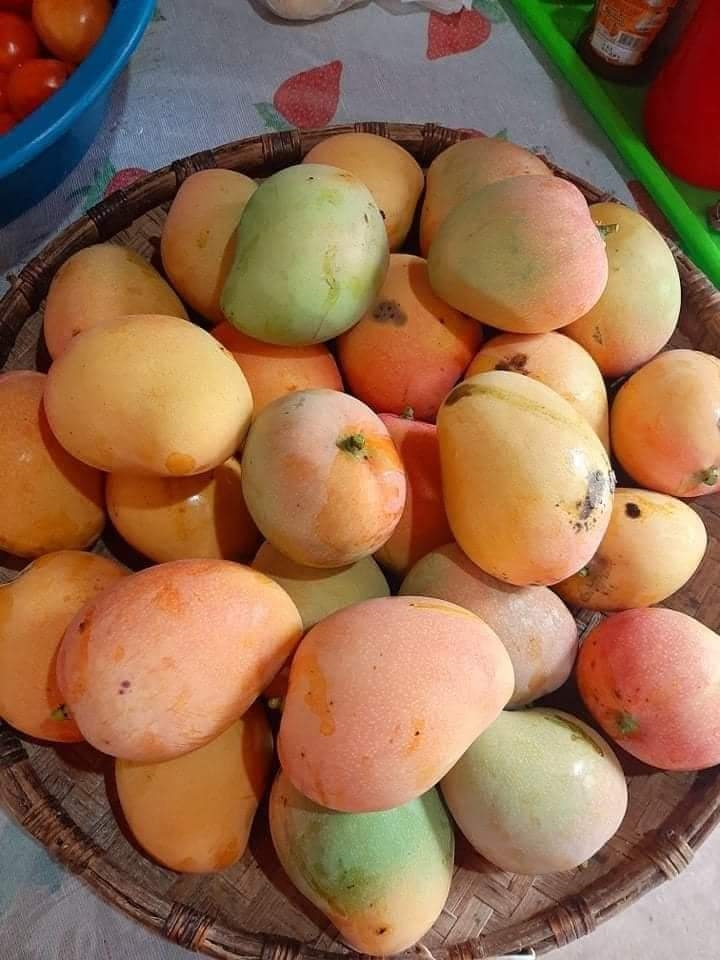 Frutas saborosas para vocês.