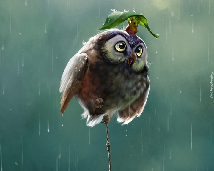 owl and mause