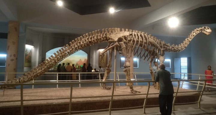 dinosaur