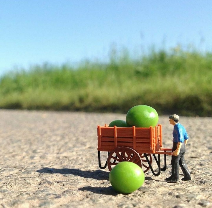 fruit