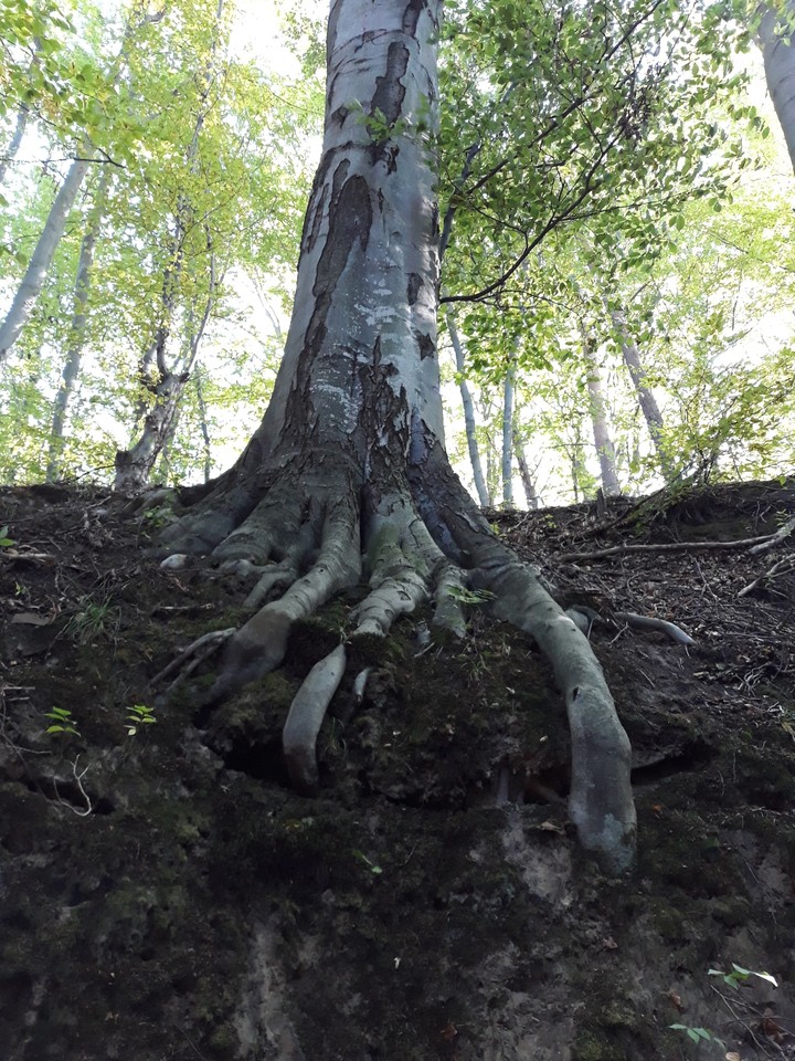 ух