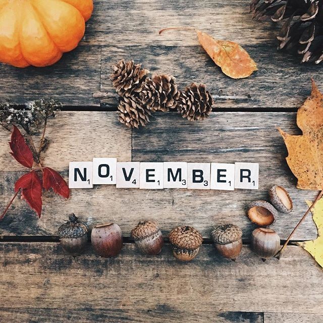 November is Here ♤
