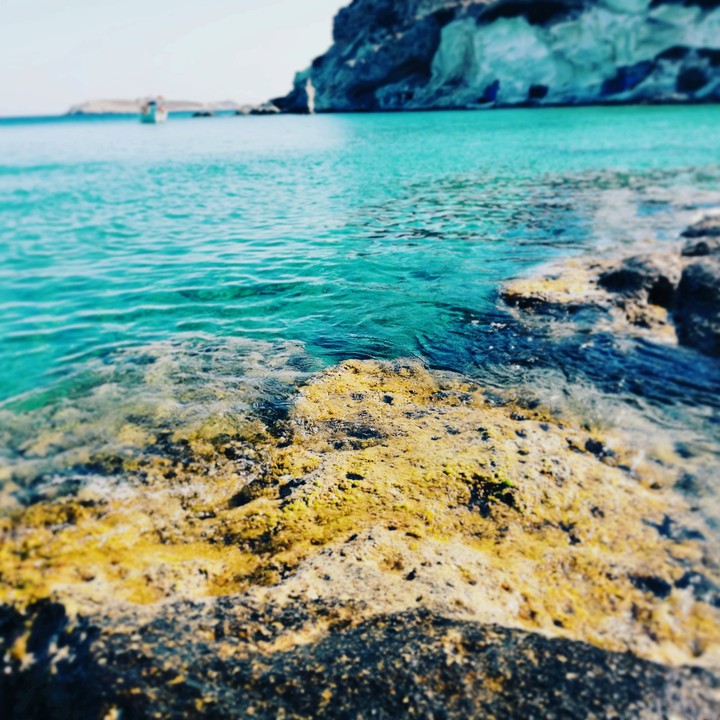 Virgin Sea.