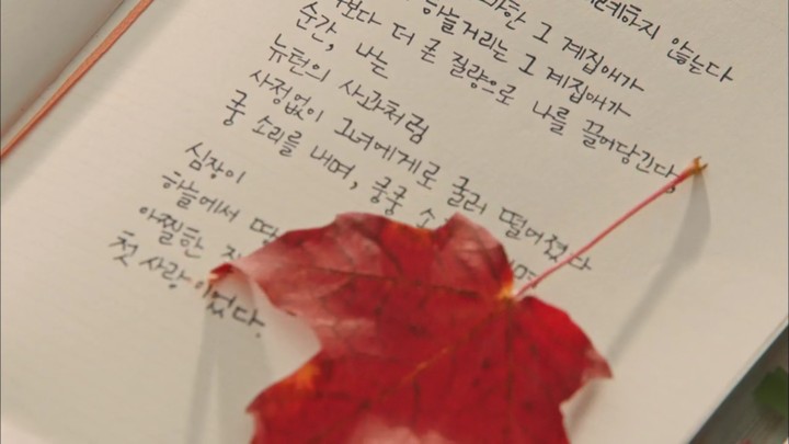 드라마