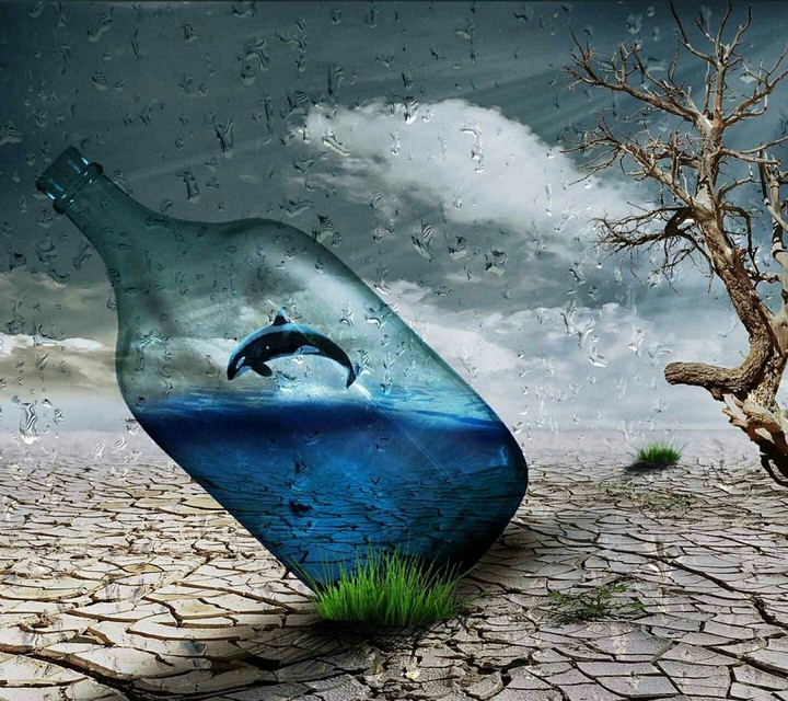 whale storm
