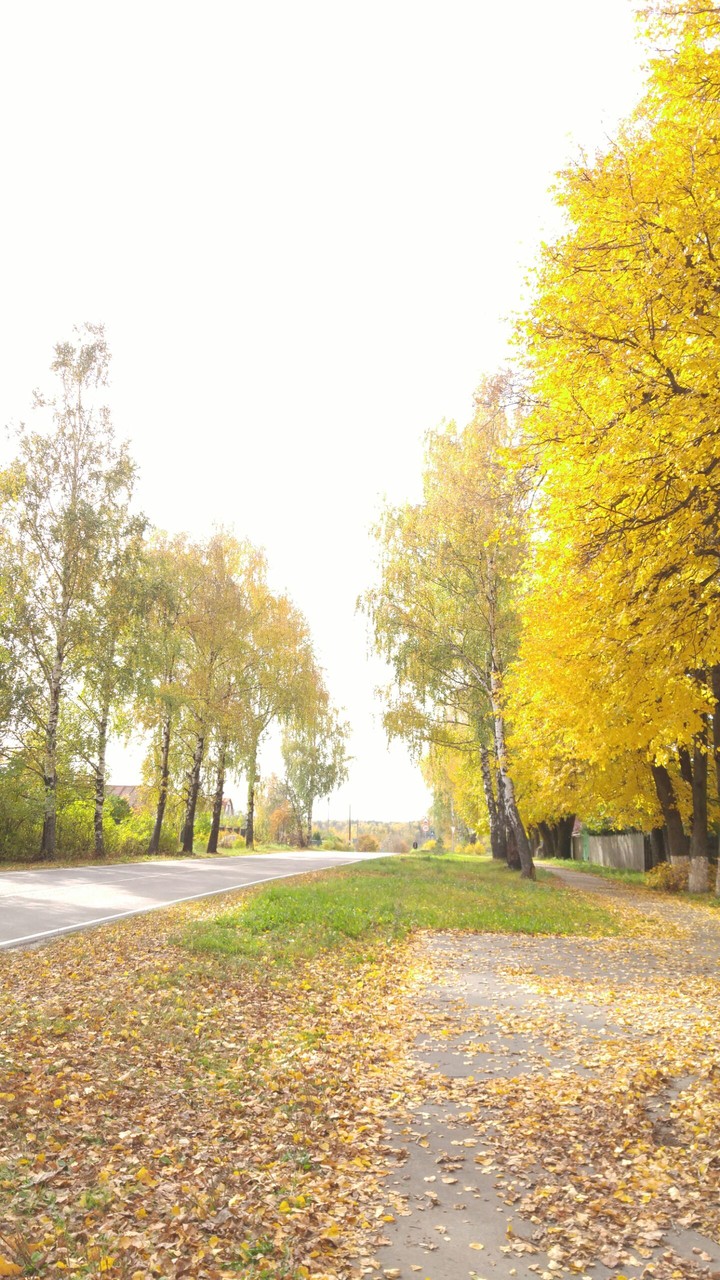 Country Autumn