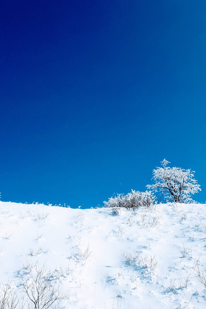 snow