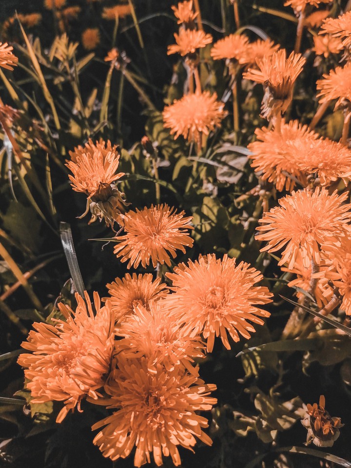 ph: Вика