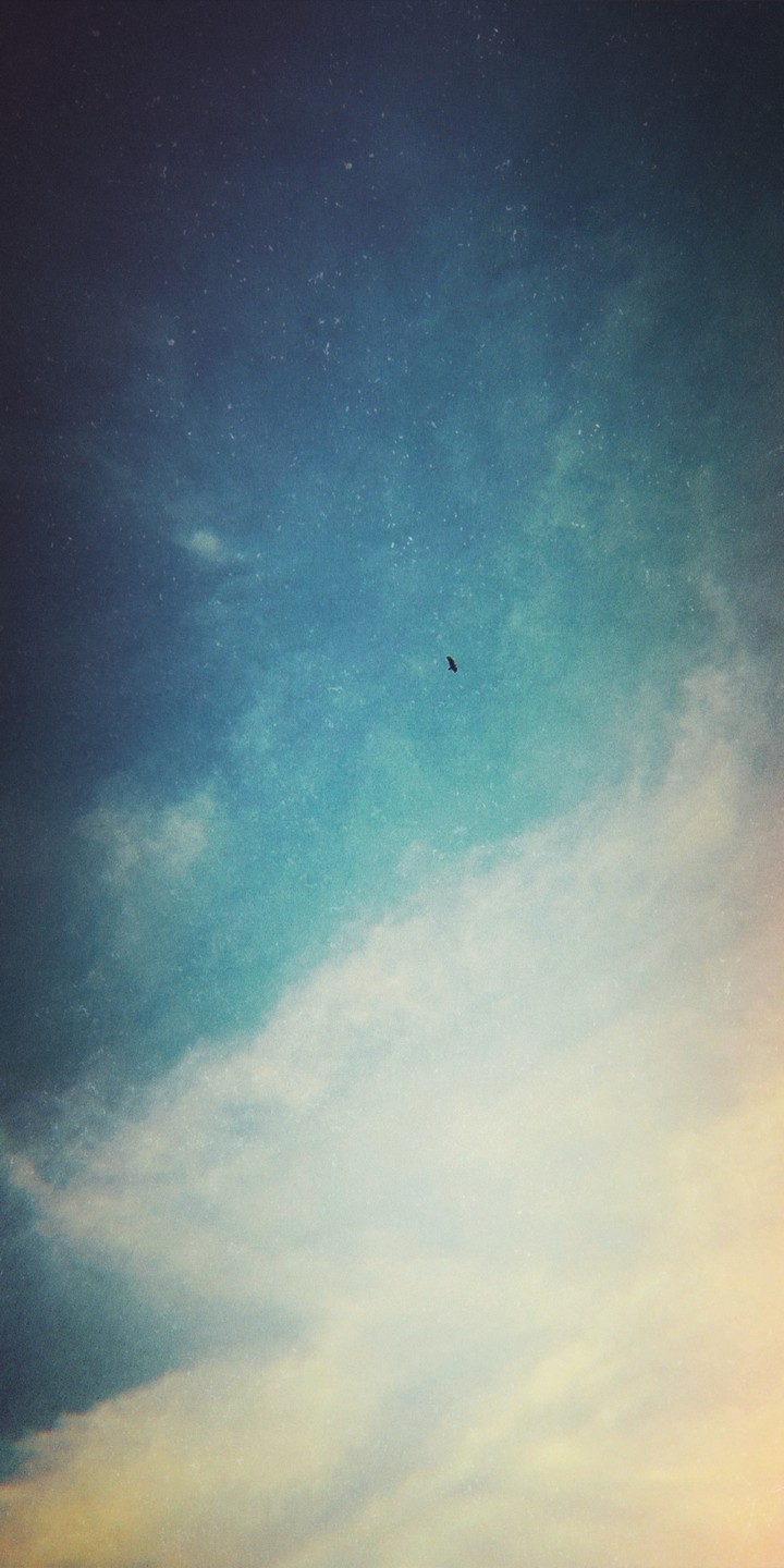 sky is the limit