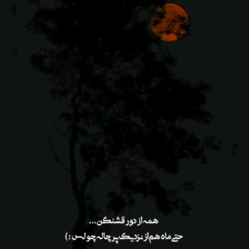‌