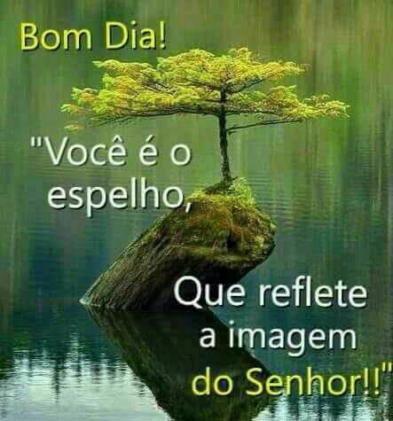 Para todos vocês amigos queridos