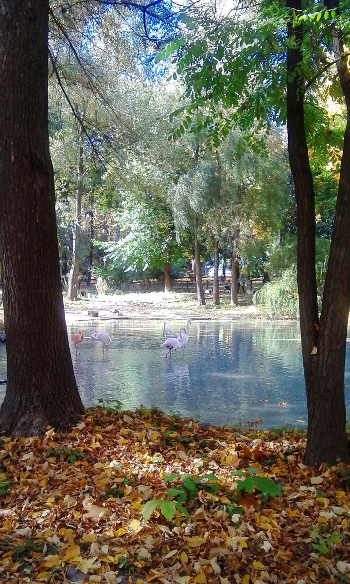 Зоопарк