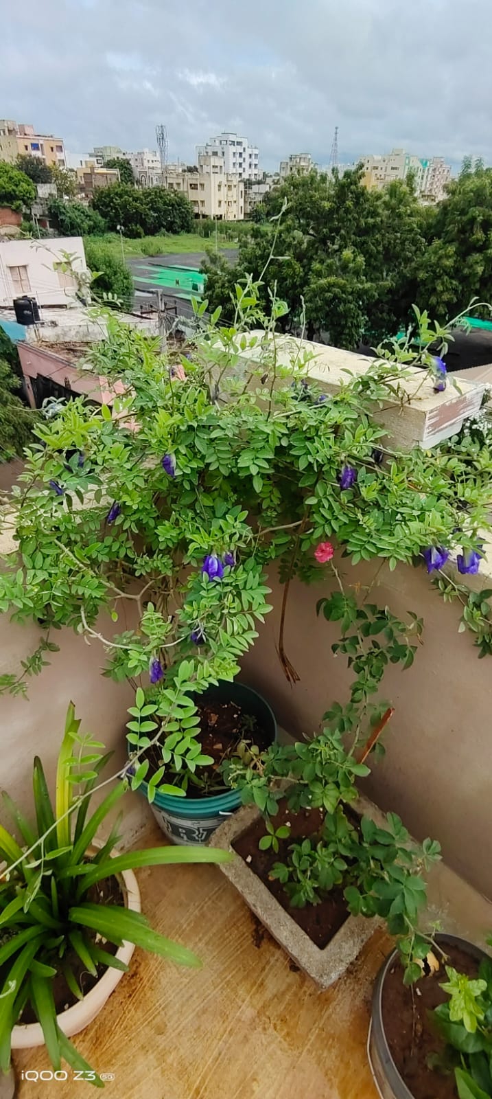 beautiful nature