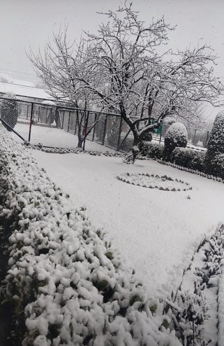 snow