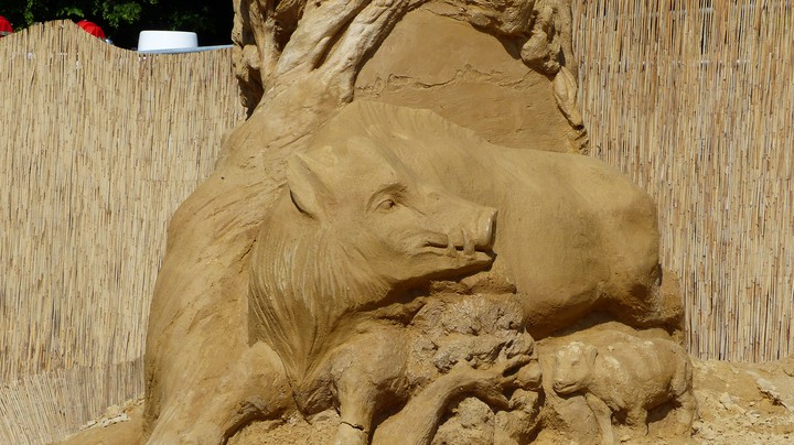 Sandwelt Ludwigsburg 2013