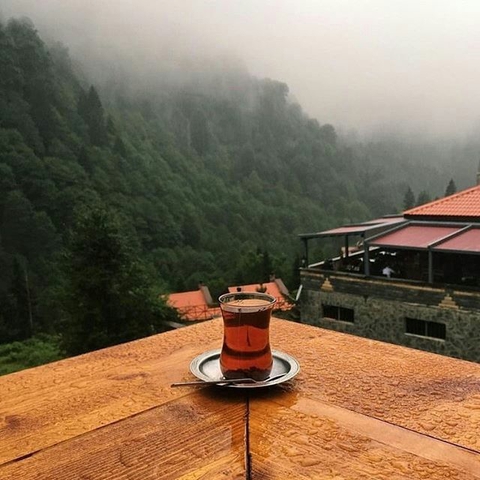 لذت نوشیدن یک فنجان چای