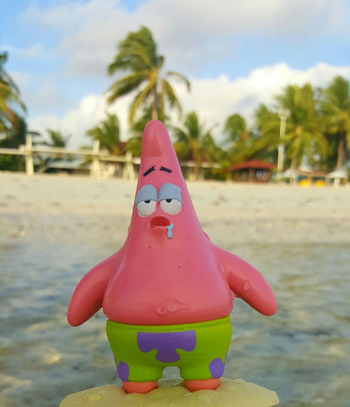 Summer with Patrick