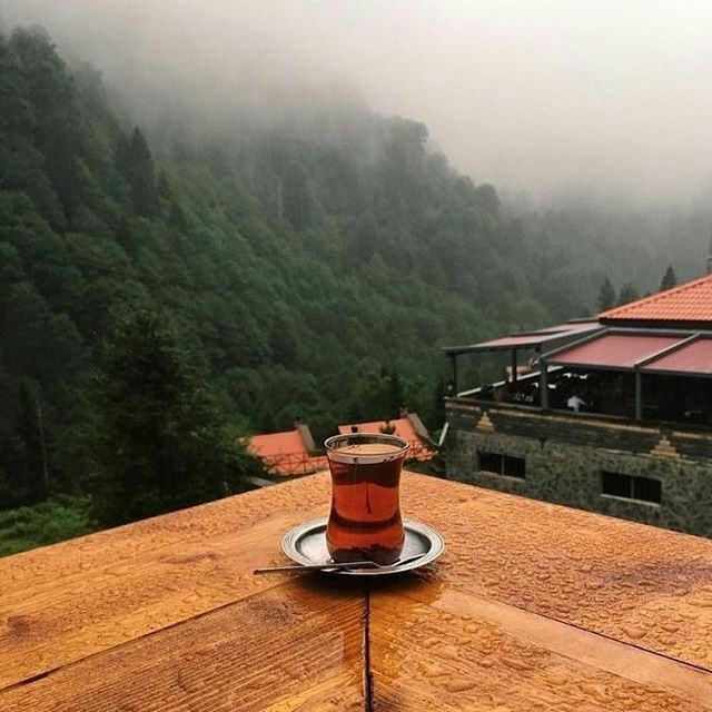 لذت نوشیدن یک فنجان چای