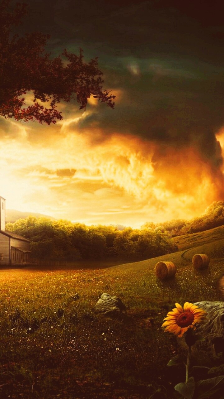 Nature Art