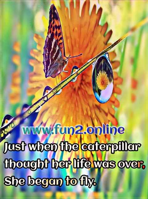 fun