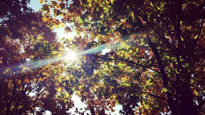 Beautiful autumn ))