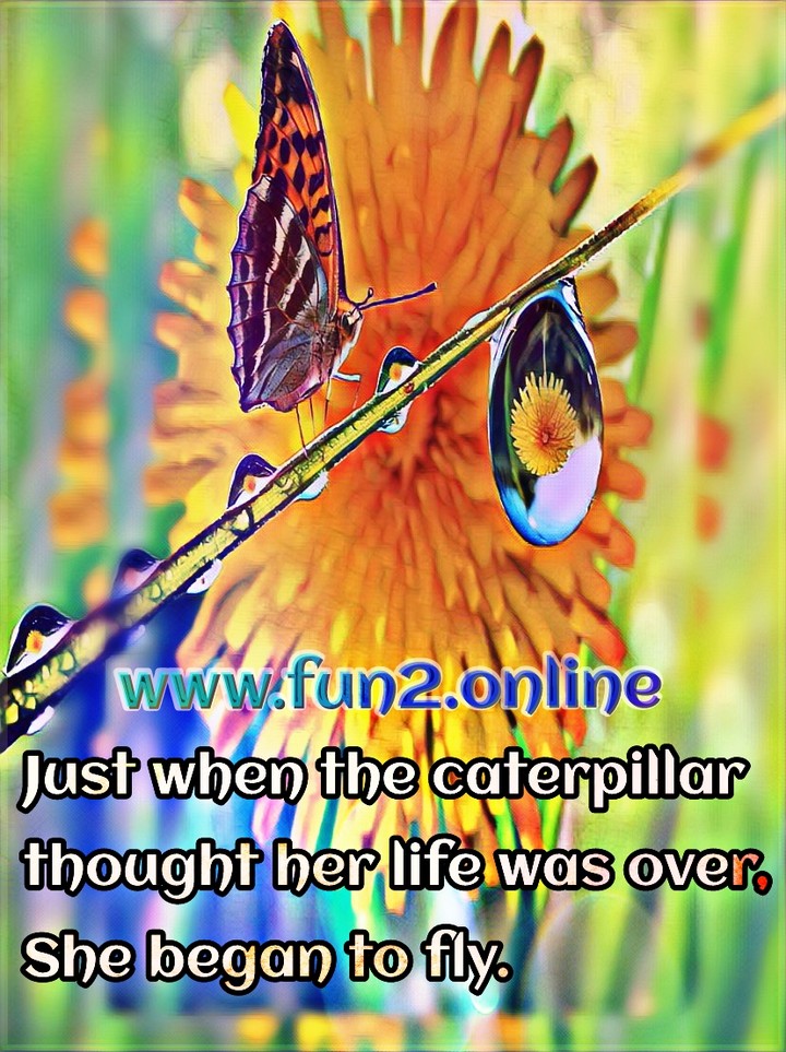 fun