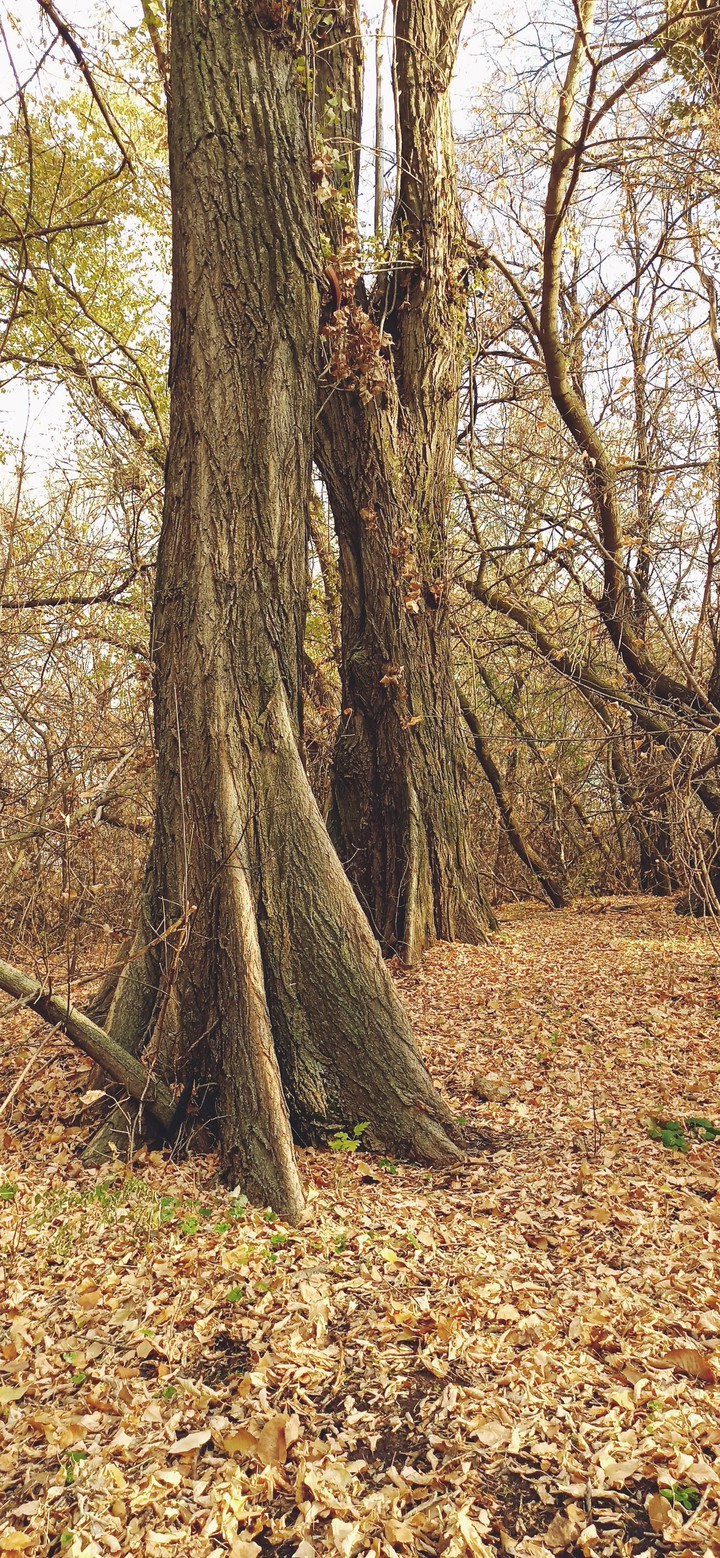 Let's play hide and seek