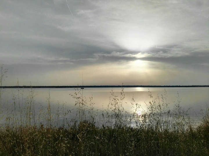 reflection