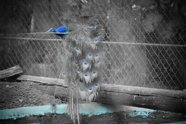 just a click