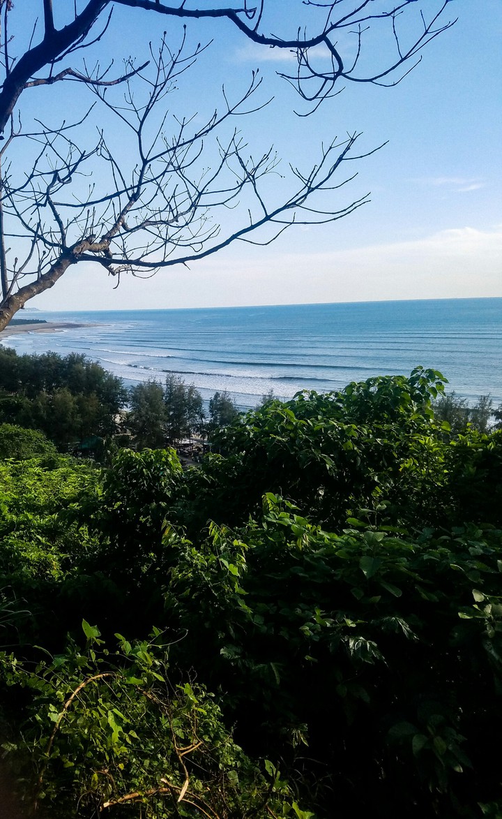 sea among jungle