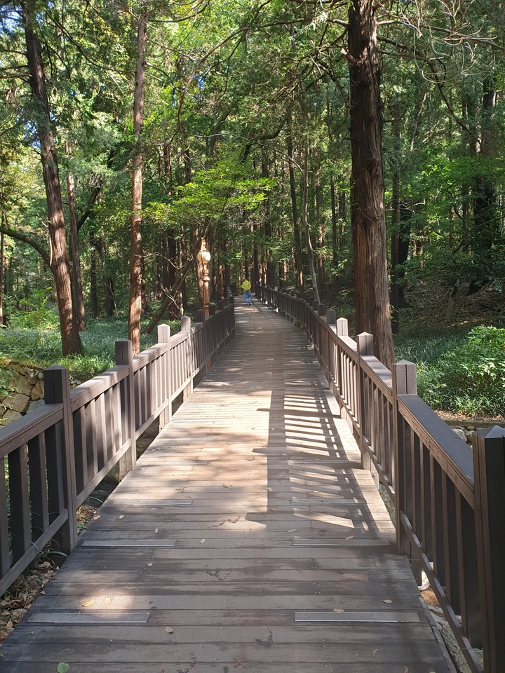 trails