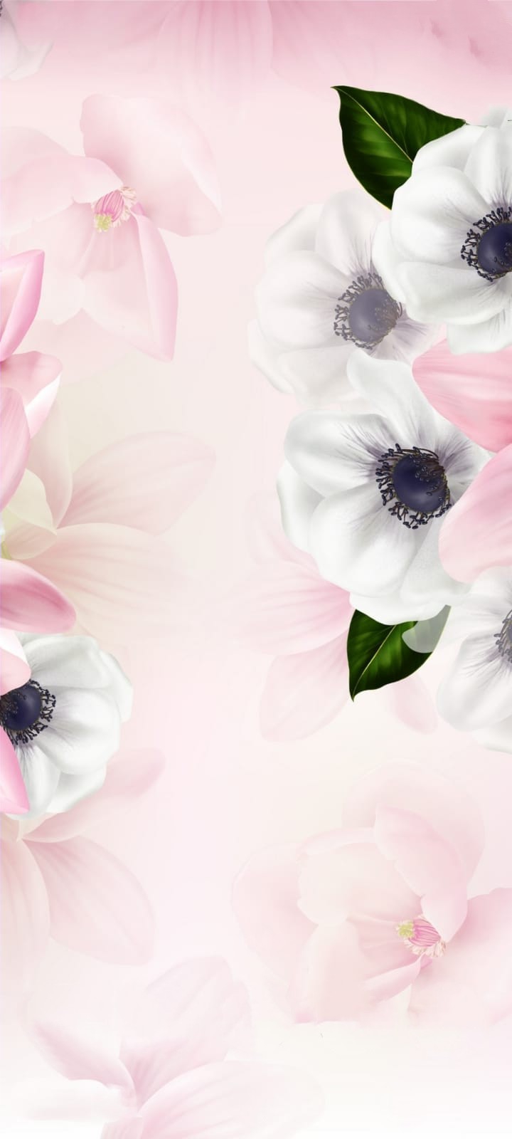 Pastell Rosa flower