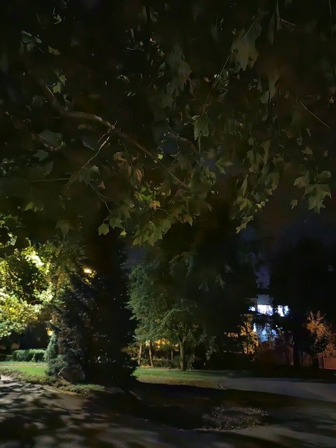 landscape, landscapes háttérképek
