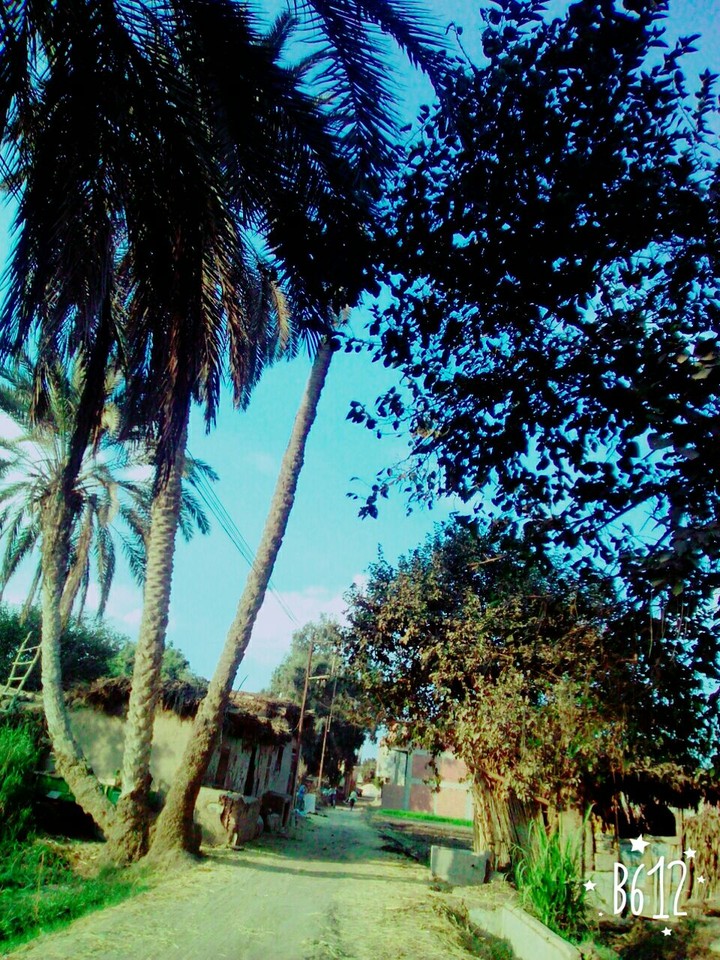 country