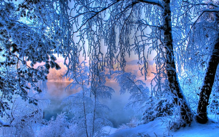 Winter ❤️Frost
