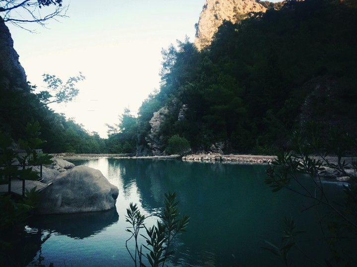 nature