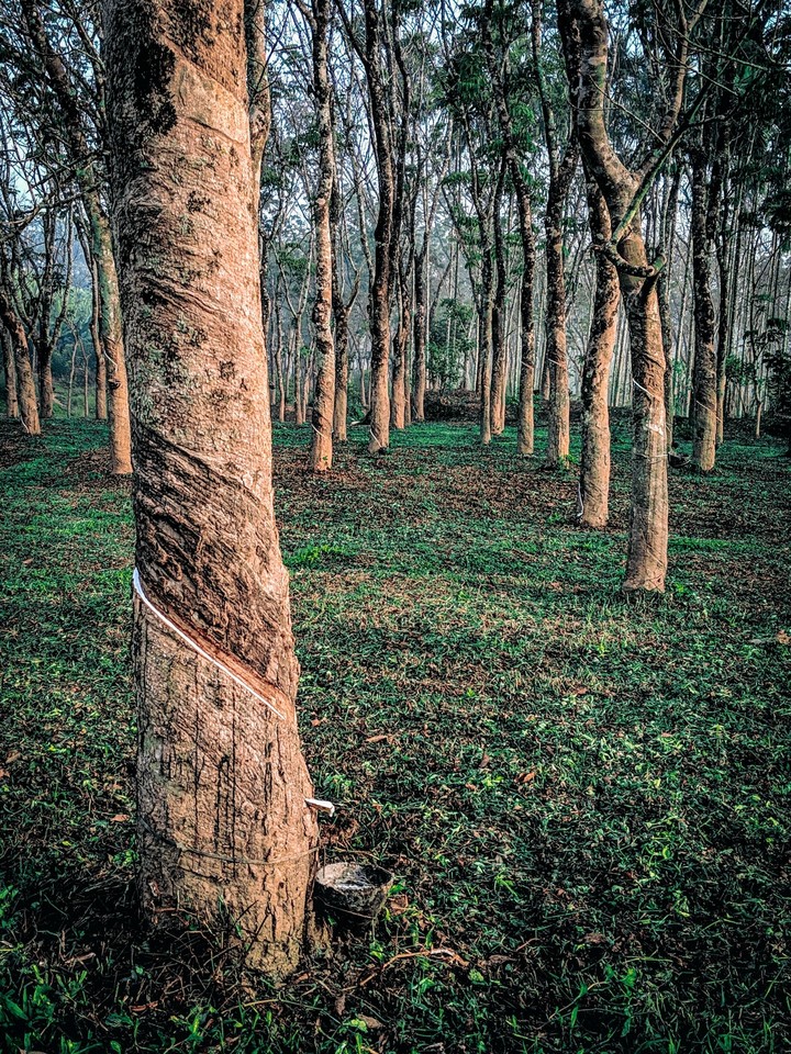 its just my imagination which i took by this pic.