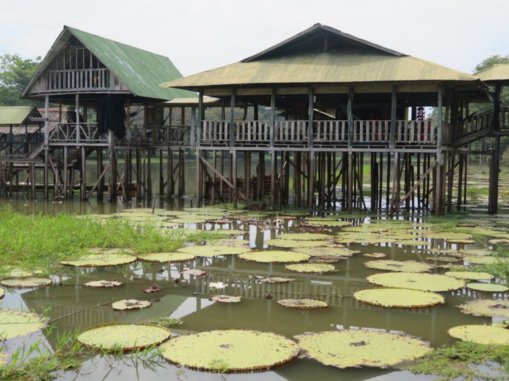 amazonas Colombia