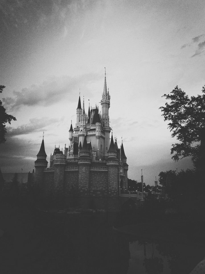 Disney Castle