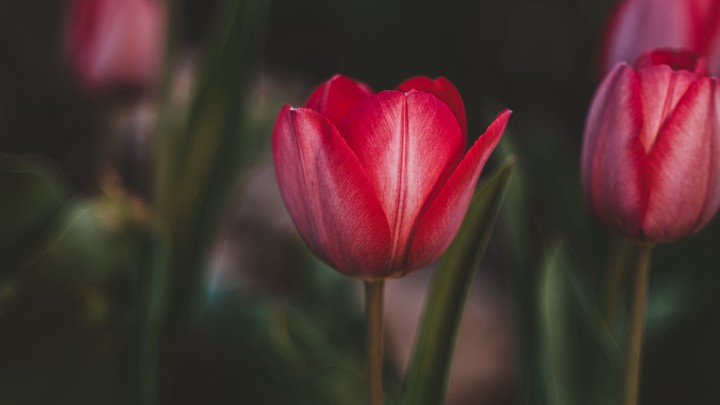 500px